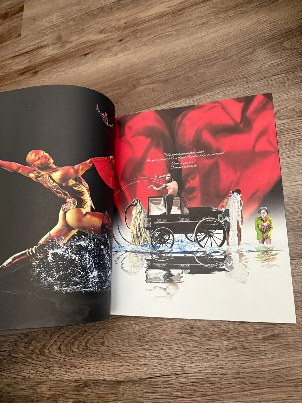 Cirque du Soleil 
